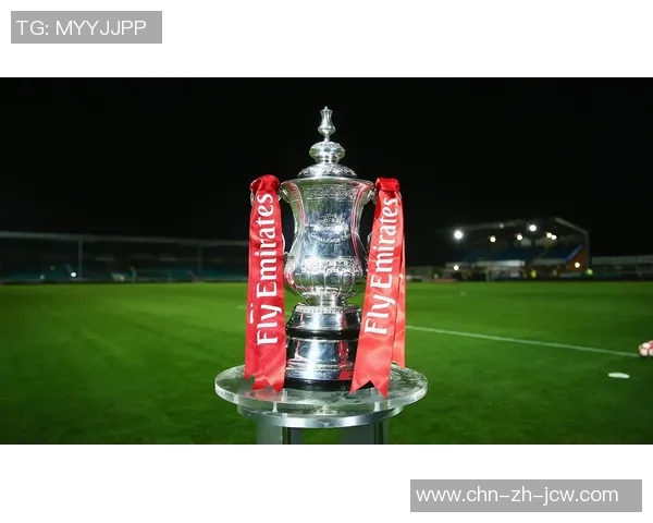 斯旺西足球俱乐部的辉煌历程与未来展望：从英冠到英超的奋斗之路